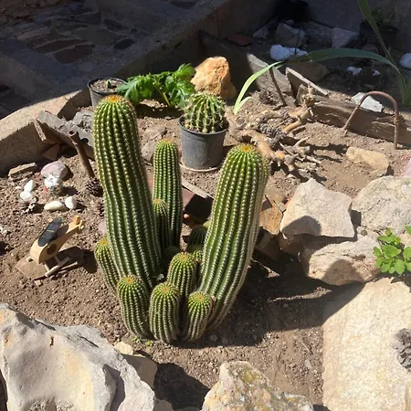 Angel Avec Vue Magique 펜션