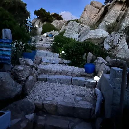 Angel Avec Vue Magique *