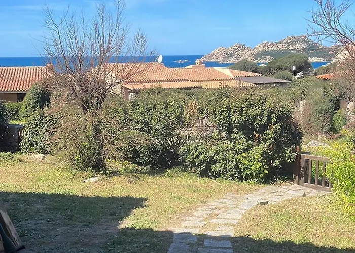 Angel Avec Vue Magique